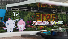 十五运会迎100天倒计时！粤港澳大湾区见
